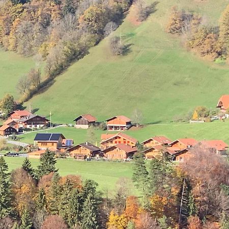 Chalet Park Apartment Mit Sauna Hamam Diemtigen Eksteriør bilde